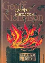 читать Бедлам в огне