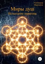 читать Миры душ. Испытание парагона