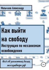 читать Как выйти на свободу. Инструкция по механизмам освобождения