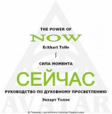 читать Сила момента сейчас. Руководство по духовному просветлению (ЛП)