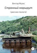читать Странный маршрут