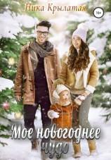 читать Мое новогоднее чудо