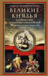 читать Великие князья Владимирские и Владимиро-Московские. Великие и удельные князья Северной Руси в татарский период с 1238 по 1505 г.