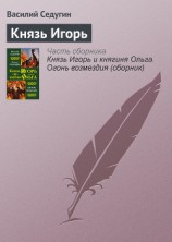 читать Князь Игорь