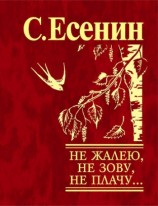 читать Не жалею, не зову, не плачу...