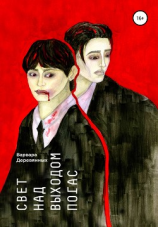 читать Свет над выходом погас