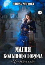 читать Магия большого города. Провинциалка