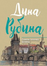 читать Сквозь сеточку шляпы (сборник)