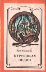 читать В трущобах Индии