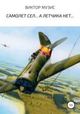 читать Самолет сел А летчика нет