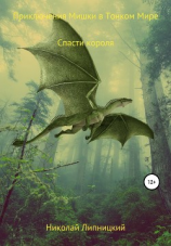 читать Приключения Мишки в Тонком мире. Спасти короля