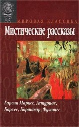 читать Рукопись найденная в кармане