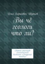читать Вы чё геологи что ли? Сборник рассказов геологического вестника «Амурский тындец»