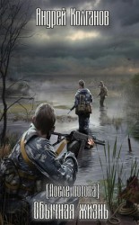 читать Обычная жизнь