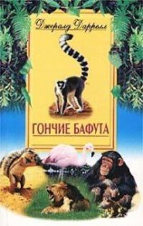 читать Гончие Бафута