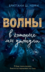 читать Волны, в которых мы утонули