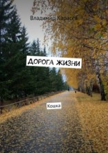 читать Дорога жизни. Кошка