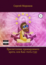 читать Просветление пронырливого крота, или Как стать Гуру