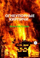читать Огнеупорные кирпичи