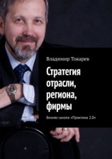 читать Стратегия отрасли, региона, фирмы. Бизнес-школа «Практика 2.0»