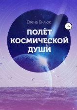 читать Полёт космической души