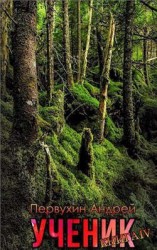 читать Ученик. Книга 4