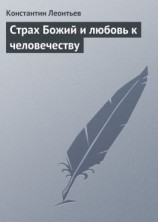 читать Страх Божий и любовь к человечеству