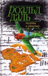читать Полеты в одиночку
