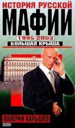 читать История Русской мафии 1995-2003. Большая крыша