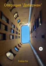 читать Операция «Доберман»