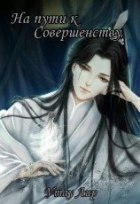 читать На пути к Совершенству