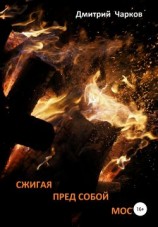 читать Сжигая пред собой мосты