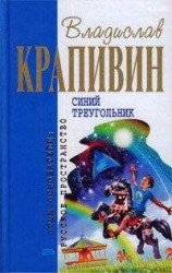 читать Бермудский треугольник - зона ускоренного времени
