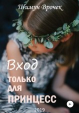 читать Вход только для принцесс