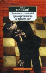 читать Лучше бы я остался дома