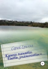 читать Камни памяти. Быть знаменитым