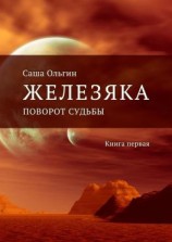 читать Железяка. Поворот судьбы. Книга первая