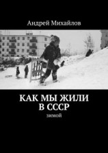 читать Как мы жили в СССР. Зимой