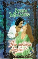 читать Ночь накануне свадьбы