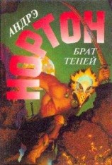 читать Рассвет 2050 года. Брат теней