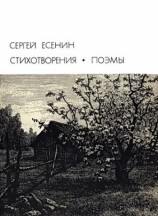 читать Стихотворения. Поэмы