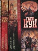 читать Стальные сны. Серебряный клин