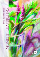 читать Момент сближения