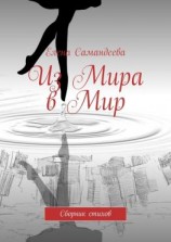 читать Из Мира в Мир. Сборник стихов