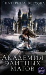 читать Академия элитных магов