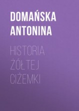 читать Historia żółtej ciżemki