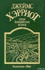 читать Среди Йоркширских холмов