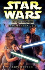 читать Разорванная сеть