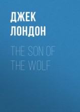 читать The Son of the Wolf