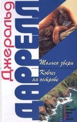 читать Ковчег на острове